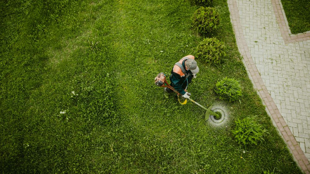 Преимущества использования лески STIHL для триммеров Преимущества использования лески STIHL для триммеров