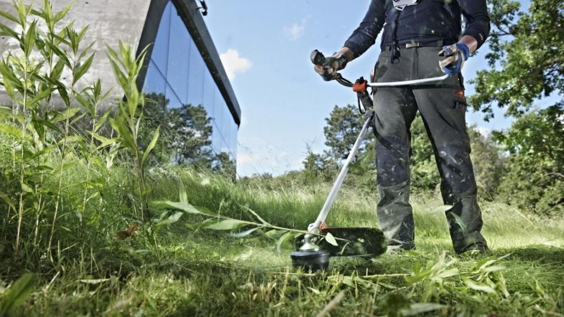 Как выбрать мотокосу STIHL: советы и рекомендации Как выбрать мотокосу STIHL: советы и рекомендации