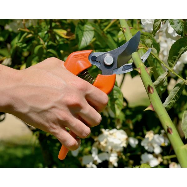 Секатор универсальный P126-19-F